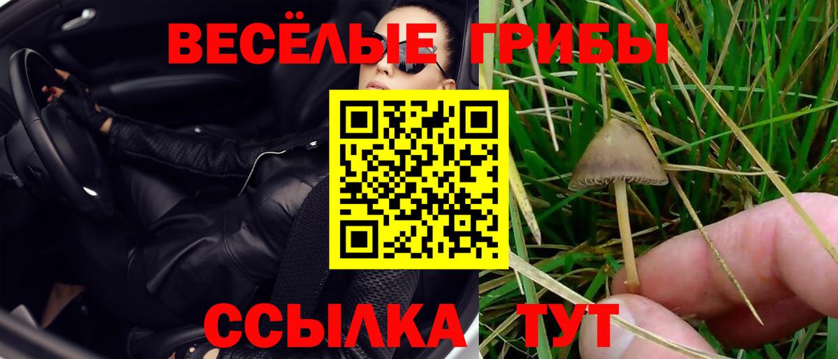 Псилоцибиновые грибы мухоморы  где продают   Вологда  Вход с VPN 